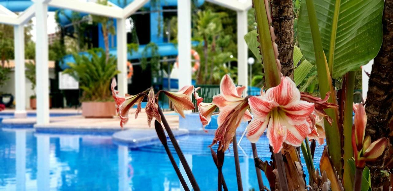 El Estudio De La Playa Benalbeach Holidays Deluxe Benalmádena Eksteriør bilde