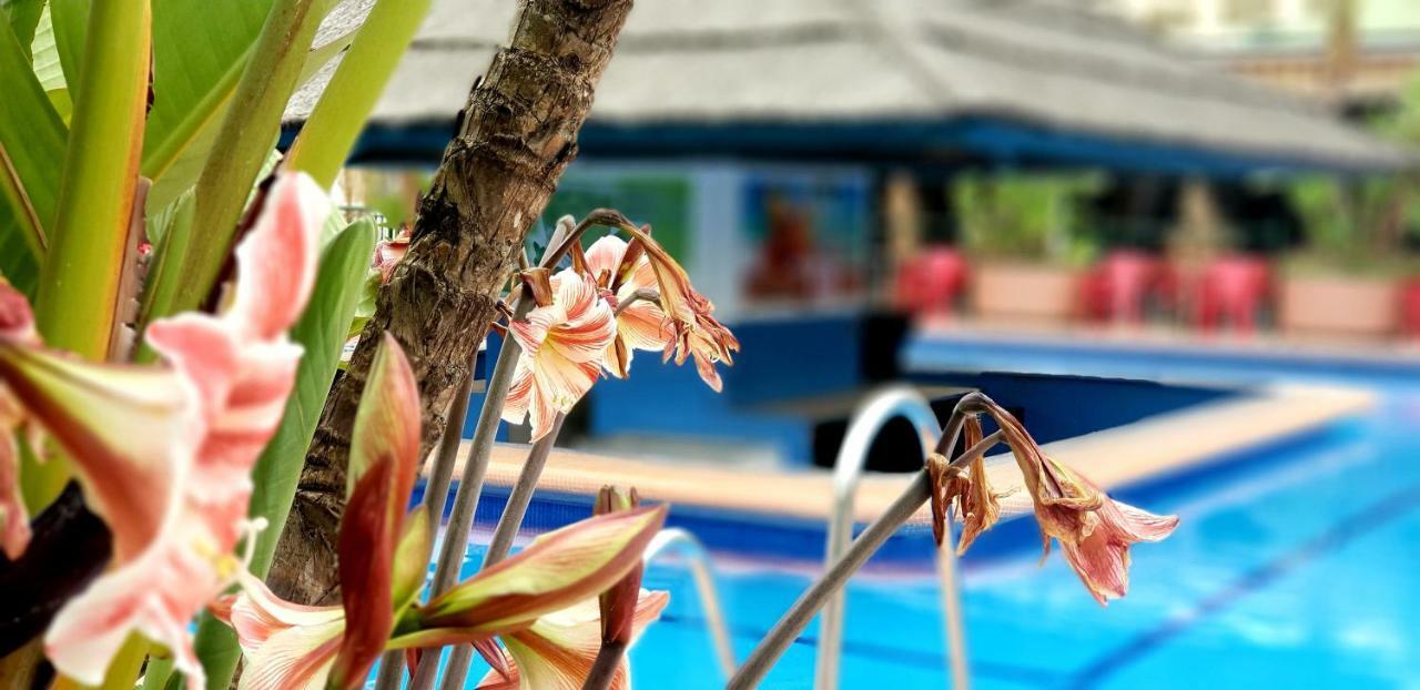El Estudio De La Playa Benalbeach Holidays Deluxe Benalmádena Eksteriør bilde